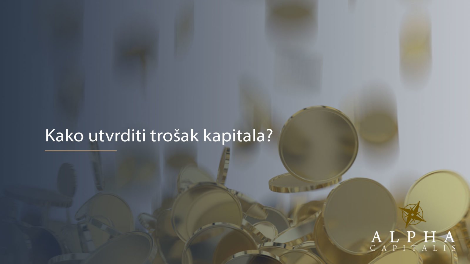 Kako utvrditi trošak kapitala? Trošak kapitala 2019 06 26 - Kako utvrditi trošak kapitala?