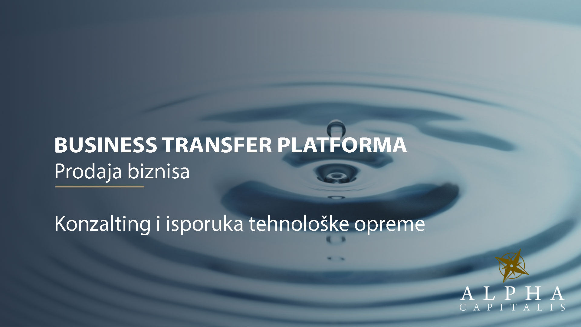 Business-transfer-platforma-konzalting-isporuka-tehnološke-opreme