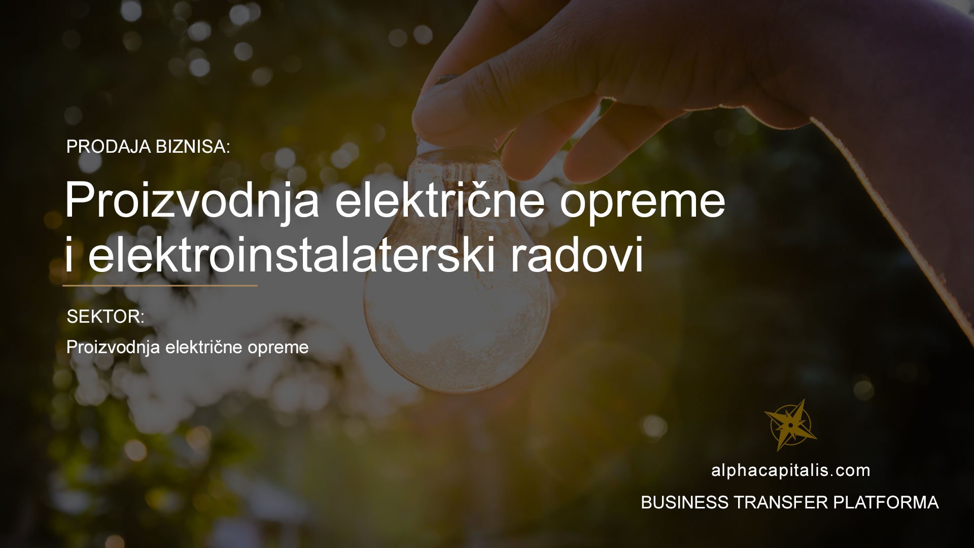 alpha-capitalis-business-transfer-platforma-prodaja-električna-rasvjeta